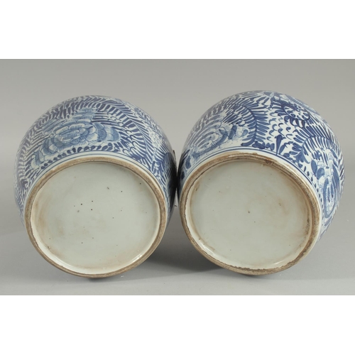 1240 - A PAIR OF CHINESE BLUE AND WHITE GINGER JARS AND COVERS 9.5ins high.