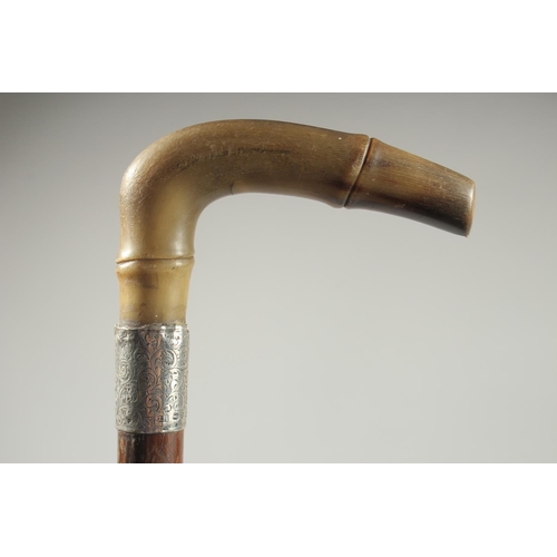 1369 - A VICTORIAN RHINO HORN HANDLE WALKING CANE with silver band. Birmingham.