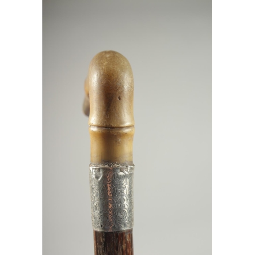 1369 - A VICTORIAN RHINO HORN HANDLE WALKING CANE with silver band. Birmingham.