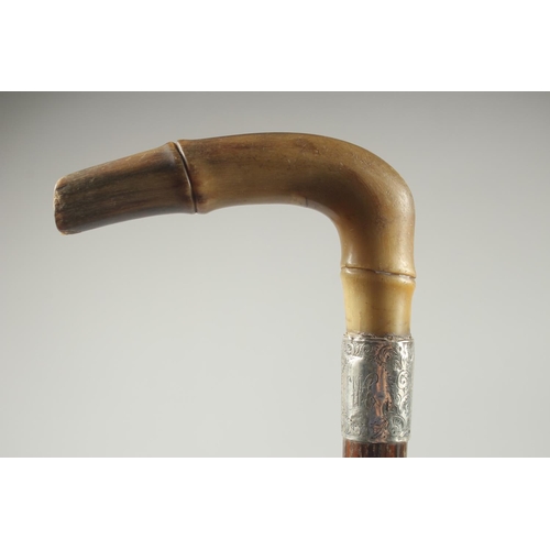 1369 - A VICTORIAN RHINO HORN HANDLE WALKING CANE with silver band. Birmingham.
