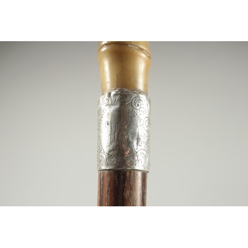 1369 - A VICTORIAN RHINO HORN HANDLE WALKING CANE with silver band. Birmingham.