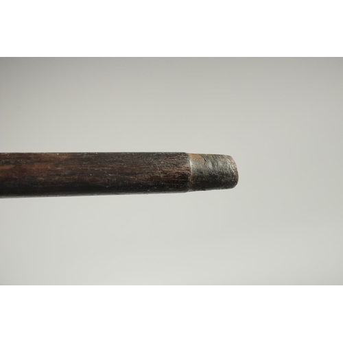 1369 - A VICTORIAN RHINO HORN HANDLE WALKING CANE with silver band. Birmingham.