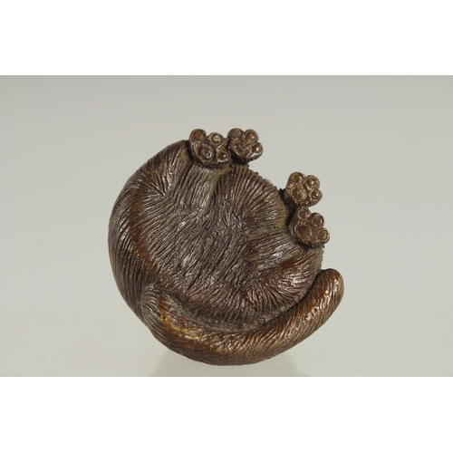 121 - A JAPANESE BRONZE OKIMONO OF A CAT, 5.5cm high.