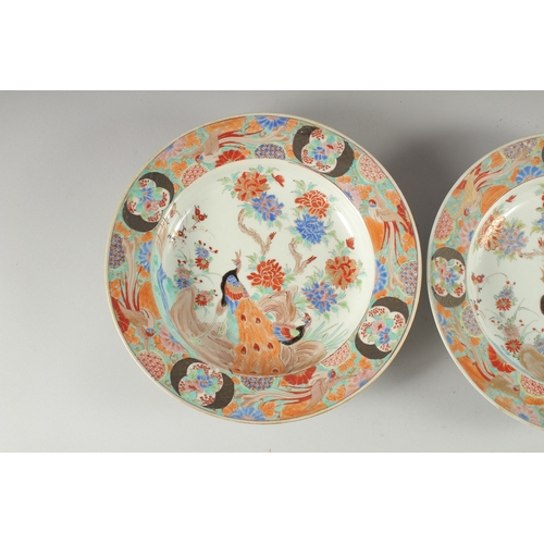 132 - A PAIR OF CHINESE POLYCHROME PORCELAIN PLATES, with enamel painted decoration depicting a peacock an... 