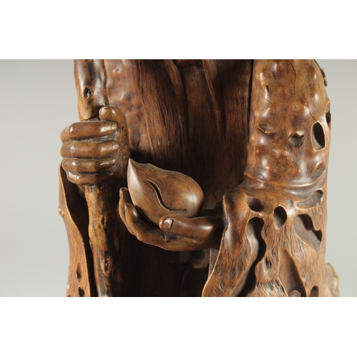 151 - A VERY LARGE AND FINE WOOD CARVING OF SHAO LOU, mounted to a natural tree trunk base, the figure hol... 