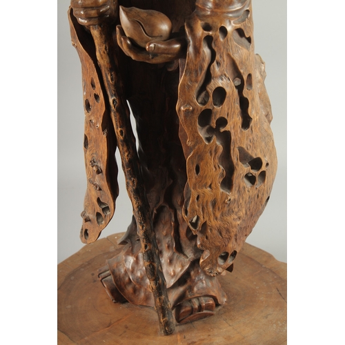 151 - A VERY LARGE AND FINE WOOD CARVING OF SHAO LOU, mounted to a natural tree trunk base, the figure hol... 