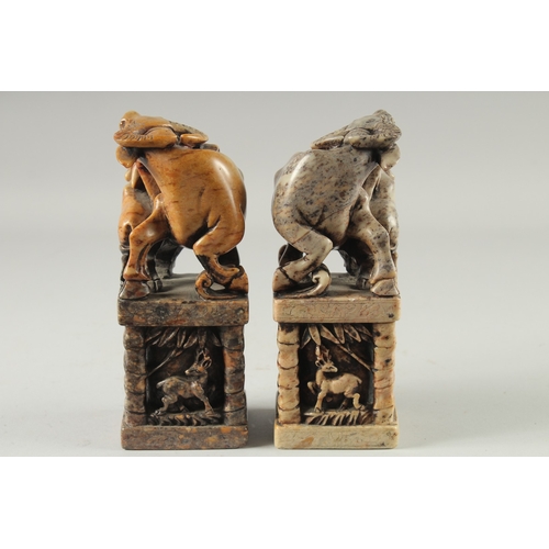 155 - A LARGE PAIR OF CHINESE CARVED BUFFALO SOAPSTONE SEALS, 20cm high.