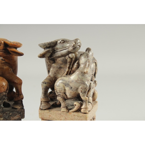 155 - A LARGE PAIR OF CHINESE CARVED BUFFALO SOAPSTONE SEALS, 20cm high.