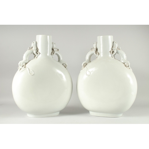 157 - A VERY LARGE PAIR BLANC-DE-CHINE TYPE MOON FLASK VASES, with moulded dragon handles, 47.5cm high.