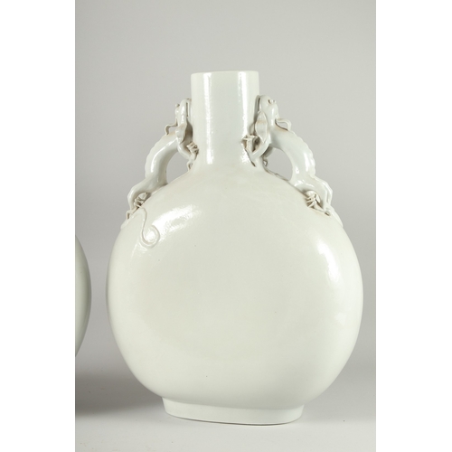 157 - A VERY LARGE PAIR BLANC-DE-CHINE TYPE MOON FLASK VASES, with moulded dragon handles, 47.5cm high.