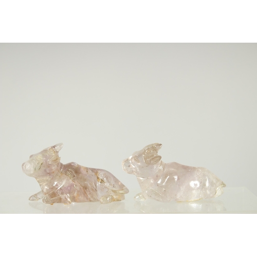 179 - TWO CHINESE CARVED ROCK CRYSTAL BULLS, on fitted wooden stands, each figure approx. 7.5cm long.