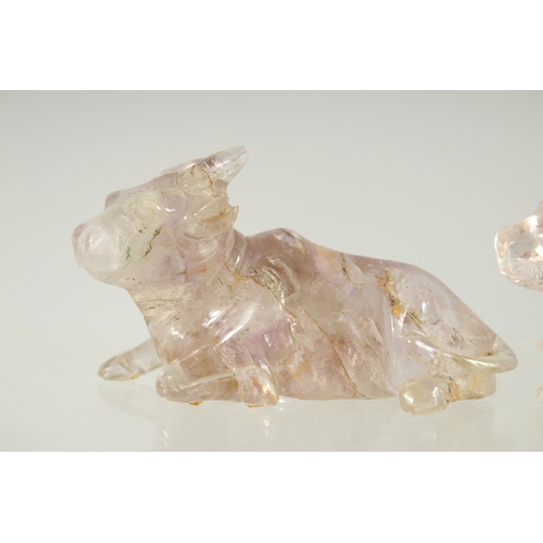 179 - TWO CHINESE CARVED ROCK CRYSTAL BULLS, on fitted wooden stands, each figure approx. 7.5cm long.