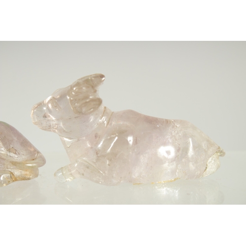 179 - TWO CHINESE CARVED ROCK CRYSTAL BULLS, on fitted wooden stands, each figure approx. 7.5cm long.