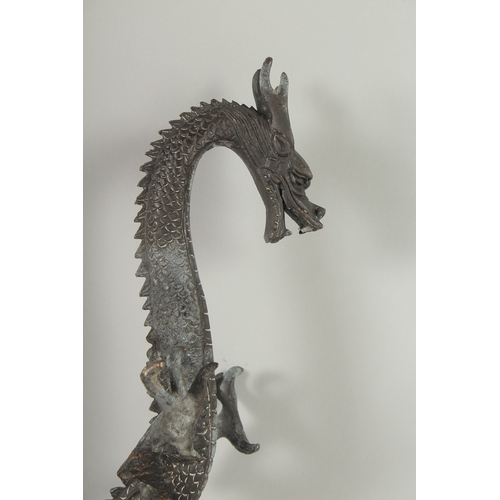 18 - TWO BRASS DRAGONS, each 41cm long.