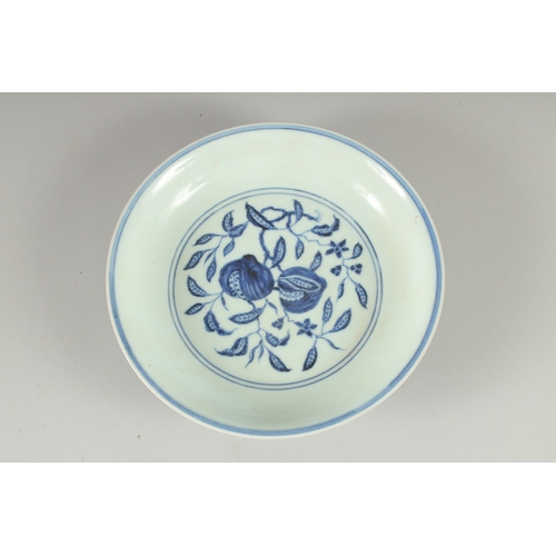 27 - A CHINESE BLUE AND WHITE PORCELAIN DISH, decorated with fruit and lotus, 19.5cm diameter.