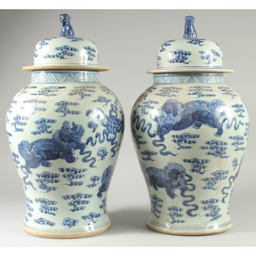 31 - A LARGE PAIR OF CHINESE BLUE AND WHITE PORCELAIN JARS AND COVERS, decorated with foo dogs, 53cm high... 