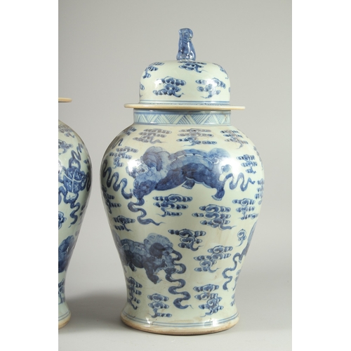 31 - A LARGE PAIR OF CHINESE BLUE AND WHITE PORCELAIN JARS AND COVERS, decorated with foo dogs, 53cm high... 