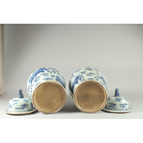 31 - A LARGE PAIR OF CHINESE BLUE AND WHITE PORCELAIN JARS AND COVERS, decorated with foo dogs, 53cm high... 