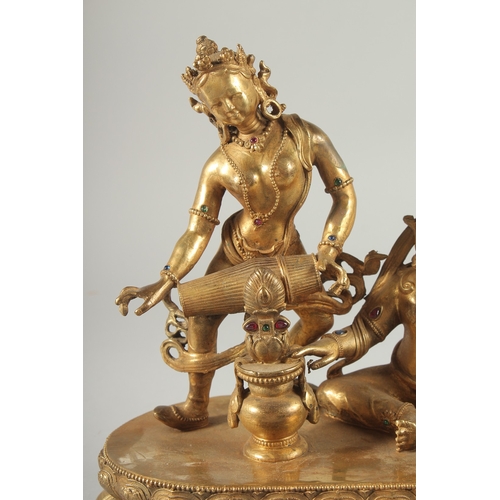 42 - A LARGE GILT BRONZE FIGURE OF TWO DEITIES ON AN OVAL DOUBLE-LOTUS BASE, 28cm wide.