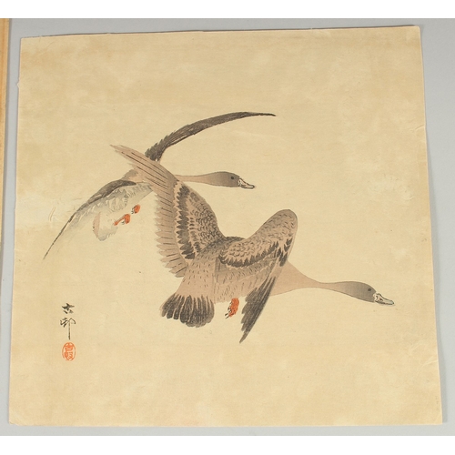 62 - KOSON OHARA (1877-1945): GEESE FLYING, PHEASANT IN THE SNOW; two original early 20th century Japanes... 