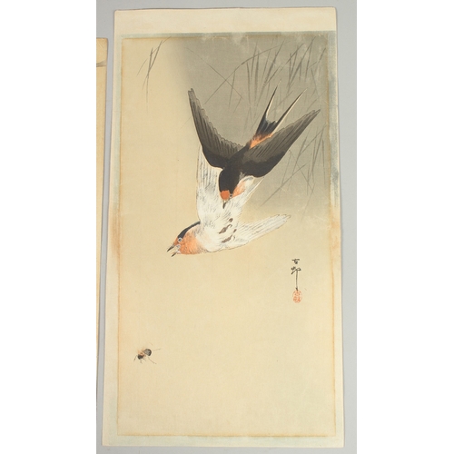 63 - KOSON OHARA (1877-1945): SPARROWS, PHEASANT ON THE CHERRY TREE; two original early 20th century Japa... 