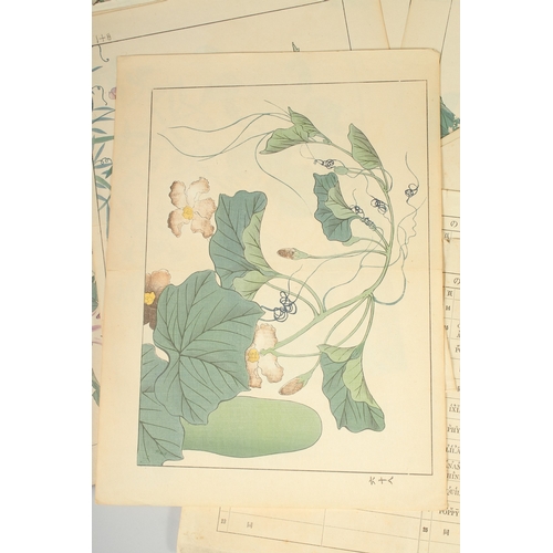 66 - AFTER HOITSU SAKAI (1761-1829): FROM THE SERIES OF FLOWERS OF FOUR SEASONS; a quantity of early 20th... 