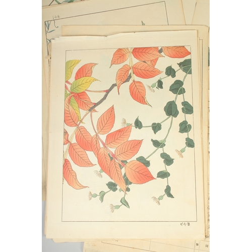 66 - AFTER HOITSU SAKAI (1761-1829): FROM THE SERIES OF FLOWERS OF FOUR SEASONS; a quantity of early 20th... 