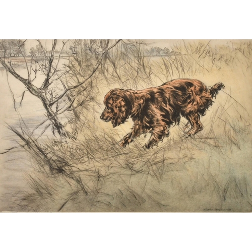 Lot 48        