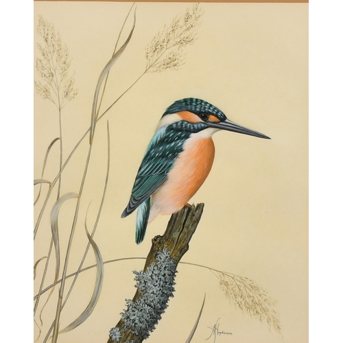 334 - Anne Hopkinson, 'Kingfisher', watercolour, signed, The Arun Art Centre Ltd label verso, 9