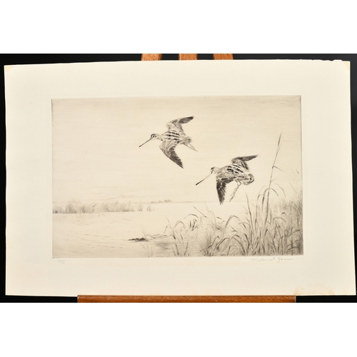 48 - Roland Green (1890-1972), Snipe coming into land on a waterway, signed in pencil and numbered 31/75,... 