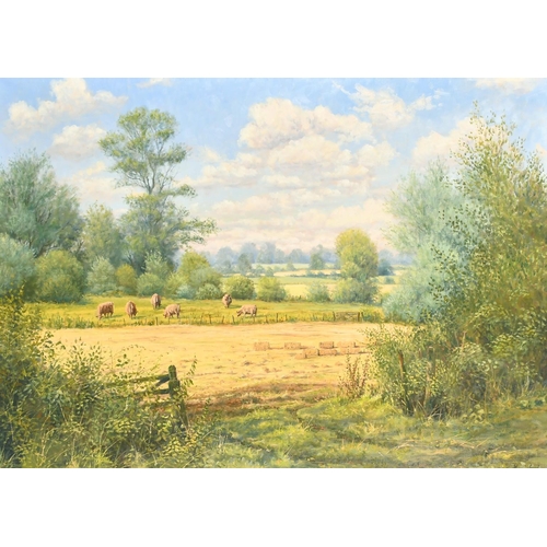 609 - Mervyn Goode (b.1948) British, 'Old wooden gate and small fields, Wiltshire', A summer landscape wit... 