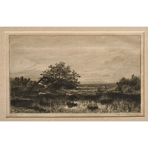 61 - A portfolio of thirteen Barbizon School etchings by or after Gustave Greux and others, unframed.