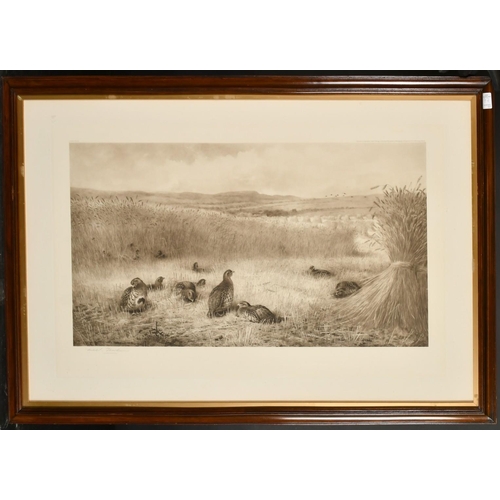 77 - Archibald Thorburn (1860-1935), game birds nestled in a field, photogravure, signed in pencil, image... 