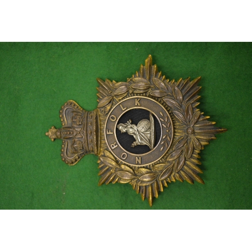 999 - A Norfolk Regiment helmet badge.