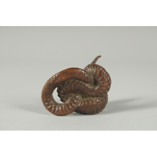 115 - A JAPANESE BRONZE OKIMONO OF A SNAKE.