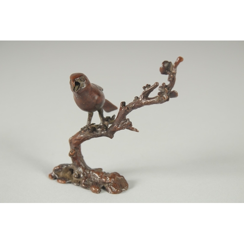 119 - A JAPANESE BRONZE OKIMONO OF A BIRD ON A BRANCH.