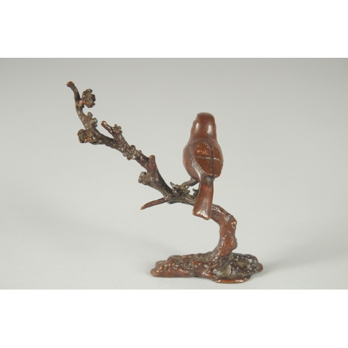 119 - A JAPANESE BRONZE OKIMONO OF A BIRD ON A BRANCH.