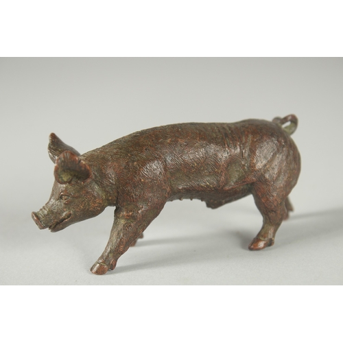 122 - A JAPANESE BRONZE OKIMONO OF A PIG.