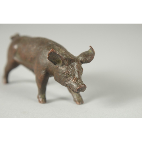 122 - A JAPANESE BRONZE OKIMONO OF A PIG.