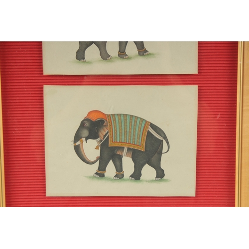 217 - TWO 19-20TH CENTURY INDIAN PAINTINGS OF ELEPHANTS, framed and glazed together, each painting 14cm x ... 