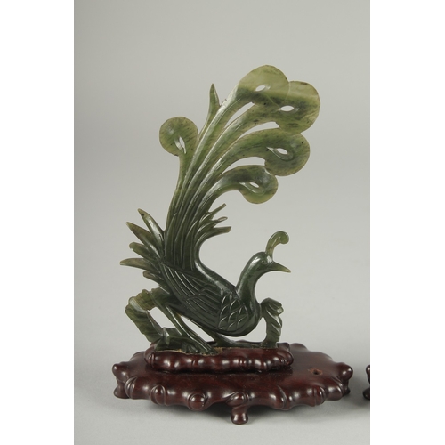 218 - A PAIR OF CHINESE CARVED SPINACH GREEN JADE PEACOCKS ON ORIGINAL WOODEN STANDS, 18cm high.