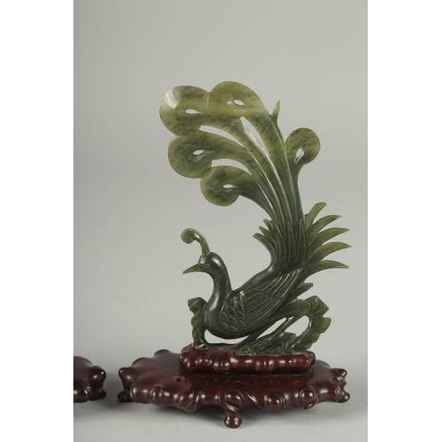 218 - A PAIR OF CHINESE CARVED SPINACH GREEN JADE PEACOCKS ON ORIGINAL WOODEN STANDS, 18cm high.