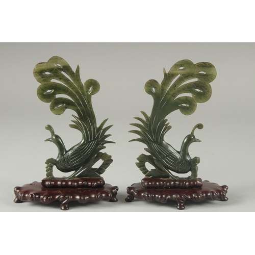 218 - A PAIR OF CHINESE CARVED SPINACH GREEN JADE PEACOCKS ON ORIGINAL WOODEN STANDS, 18cm high.