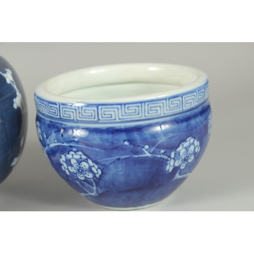 47 - A COLLECTION OF SIX PIECES OF CHINESE BLUE AND WHITE PRUNUS-DESIGN PORCELAIN, (6).