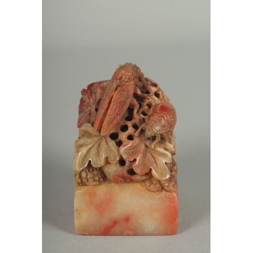 56 - A GOOD CHINESE CARVED SOAPSTONE SEAL, carved with insects on a foliate base, together with fitted bo... 