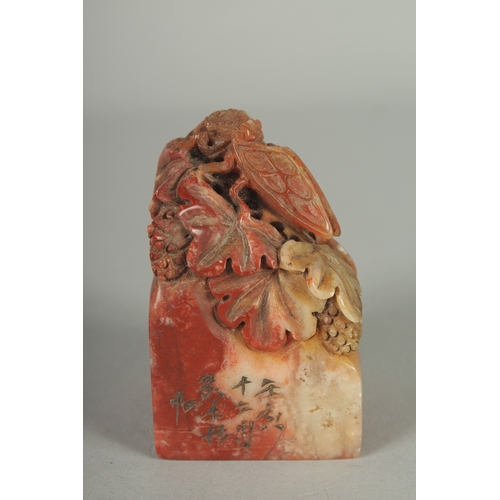 56 - A GOOD CHINESE CARVED SOAPSTONE SEAL, carved with insects on a foliate base, together with fitted bo... 