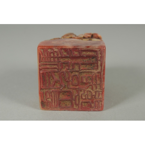 56 - A GOOD CHINESE CARVED SOAPSTONE SEAL, carved with insects on a foliate base, together with fitted bo... 