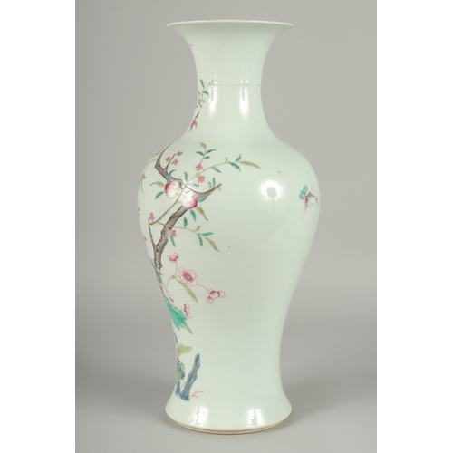 99 - A LARGE CHINESE FAMILLE ROSE PORCELAIN BALUSTER VASE, painted with colourful enamels depicting birds... 