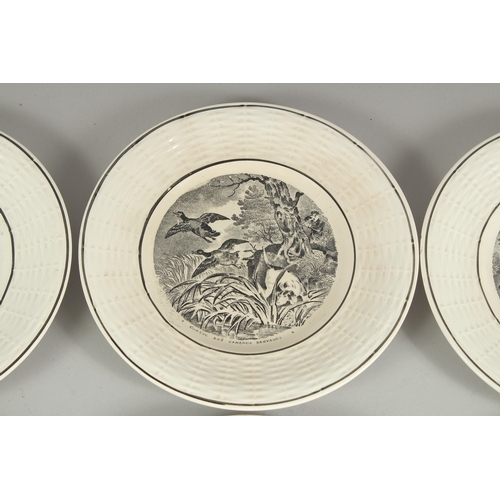 1079 - A SET OF TWELVE CONTINENTAL TRANSFER PATTERN PLATES. 7ins diameter.