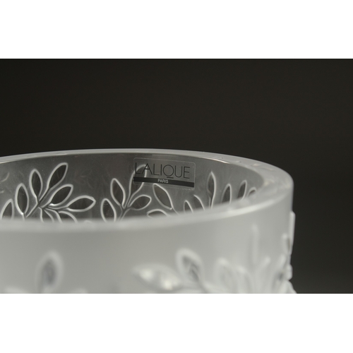 1064 - A LALIQUE FROSTED GLASS BOWL surrounded by chubby birds,  on a plain square base. Signed Lalique, Fr... 